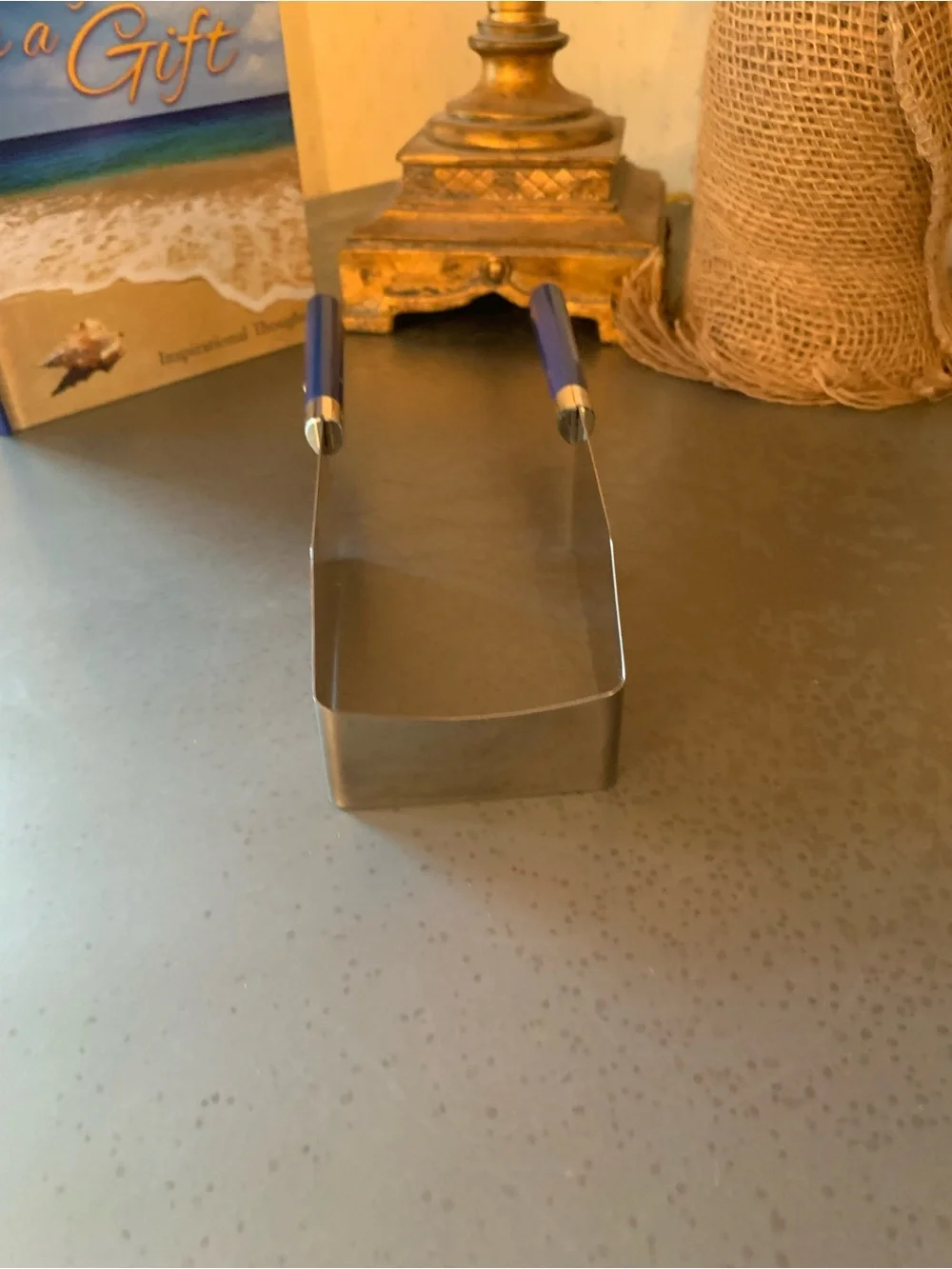 KALE KUT’R, square stainless steel cake cutter SLICES and serves in square shape